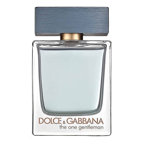 dolce gabbana the one gentleman review|d&g the one men.